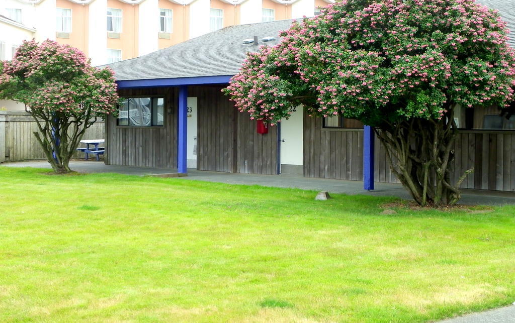 Weatherly Suites Ocean Shores Exterior foto